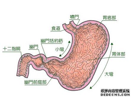 浅表性胃炎患者饮食要注意什么