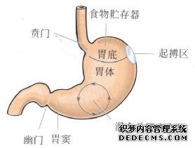 如何诊断自己患有胃炎