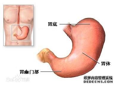 胃胀患者哪些食物不能吃