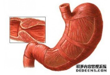 胃酸过多要怎么办？免费咨询博仕在线专家